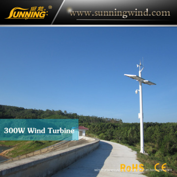 Sortie Sunning 300W Wind Turbine 24V (mini 3)